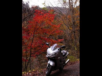 �������E�Y��̍g�t�@2004.11.13