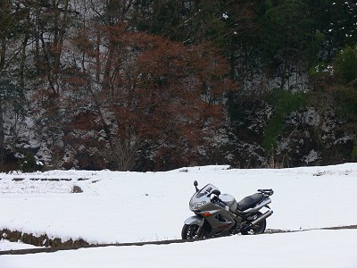 100���ڂ͐�̓��u���ɂāB2008.1.26