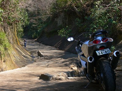 ���q�E����ސؒʂ�2008.3.8