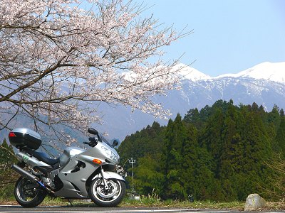 �����J�W�n�� 2008.4.5