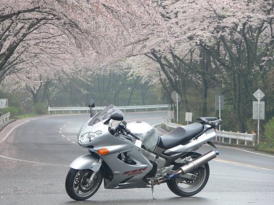 �^�[���p�C�N 2008.4.12