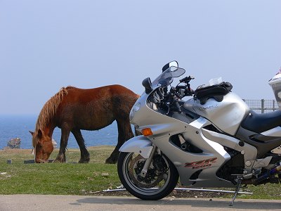 �K���� 2008.4.26