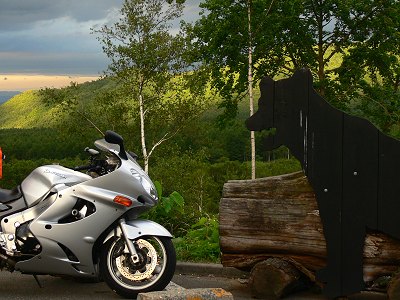 �k�C���E�������̌F 2008.8.8