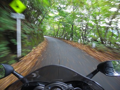 �{���� 2008.10.25