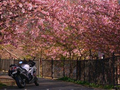 �͒Â����� 2009.2.22