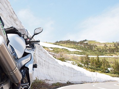 �u�ꑐ�Í������H 2009.5.10