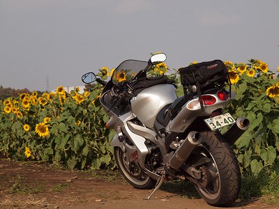 �H�̂Ђ܂��E�߉ώs 2009.10.31