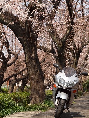 �����؁E��� 2010.3.27