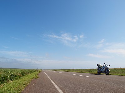 �I���������C�� 2010.8.1