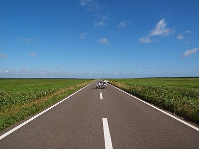 �k�C���E�G�T�k�J�� 2010.8.2