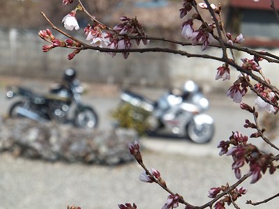 ���q�ˌÕ����ێR�ˌÕ� 2011.4.2