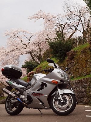 ���Z�� 2011.4.16