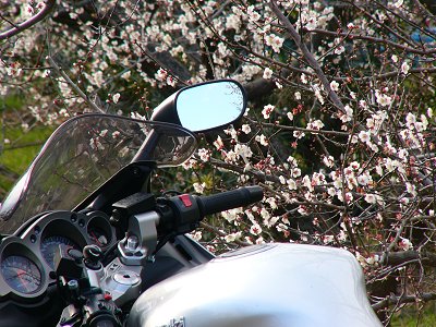 ���c���~�܂�@2005.2.12