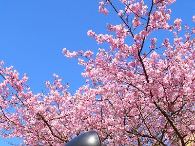 �͒Â�����@2005.2.20