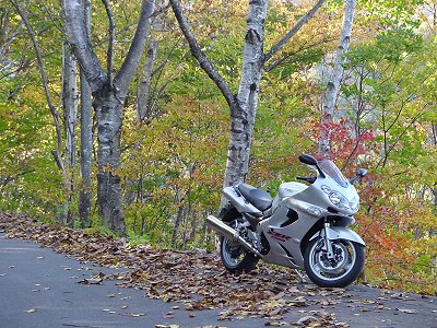 �ѓ����F������@2003.10.18