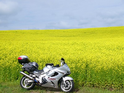 �x�ǖ� 2005.7.21