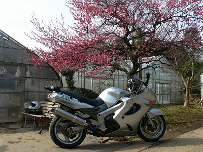 �[��_�� 2007.2.25