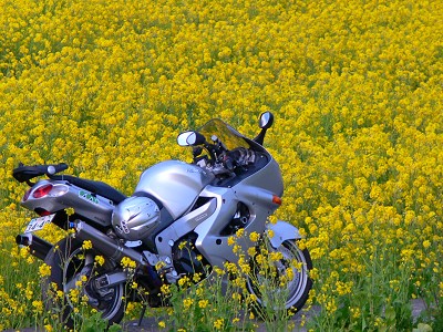 ���c 2007.3.10