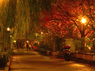 �_���E���s�@2007.11.24