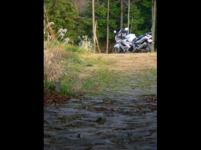 �������X���@2007.12.24