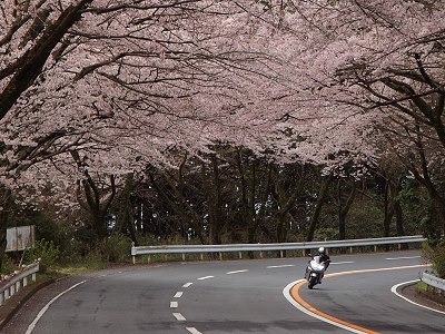 �^�[���p�C�N 2012.4.15