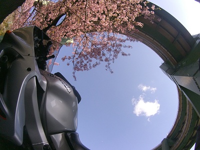 �ɓ��̃��[�v�� 2014.3.8