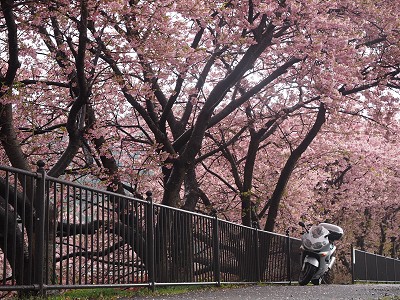 �͒�2017 2017.2.18